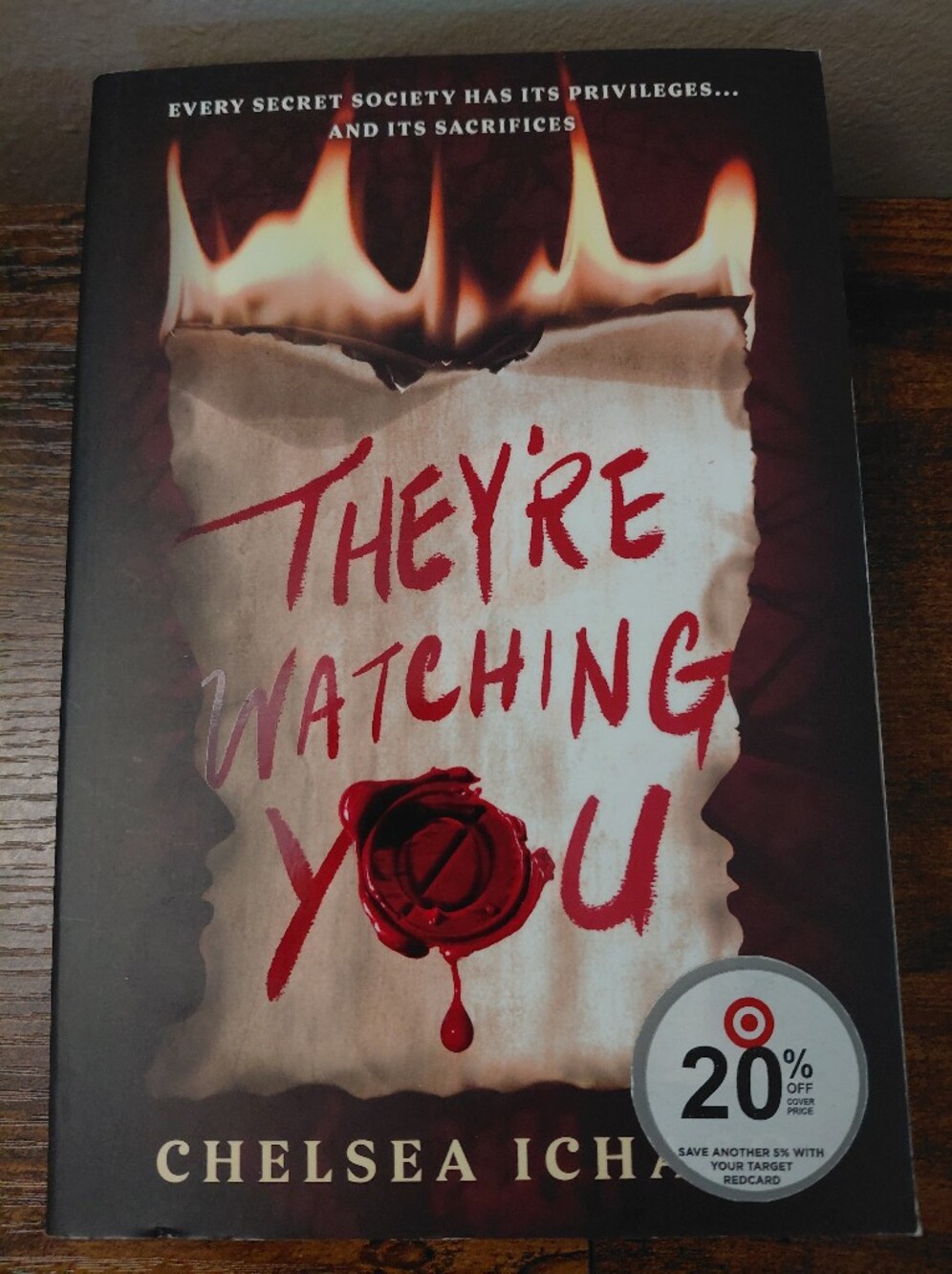 They're Watching You By Chelsea Ich